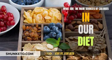 Calorie Counting: Dietary Sources of Calories Explained