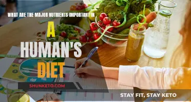 Nutrients: Essential Dietary Components for Human Health