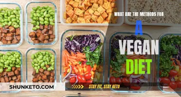 Effective Strategies for Adopting and Maintaining a Vegan Diet