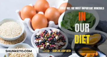 Mineral Magic: Vital Dietary Elements for Optimal Health