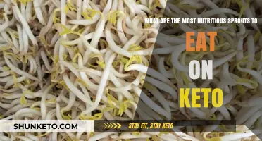 Top Keto-Friendly Sprouts for Maximum Nutrition and Low-Carb Benefits