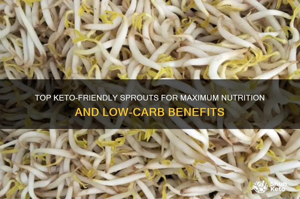 what are the most nutritious sprouts to eat on keto