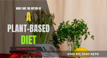 Plant-Based Diets: Myths and Misconceptions