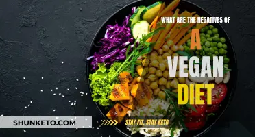 Vegan Diet: Exploring Potential Health Risks and Drawbacks