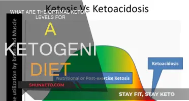 Ketogenic Diet: Optimal Ketone Levels for Success