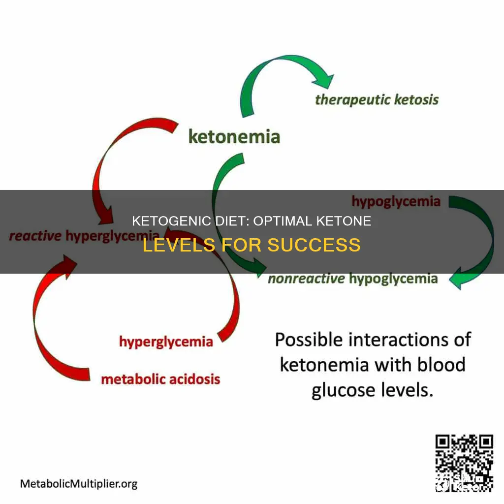 what are the optimal ketone levels for a ketogenic diet