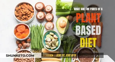 Plant-Based Diet: Understanding the Core Components