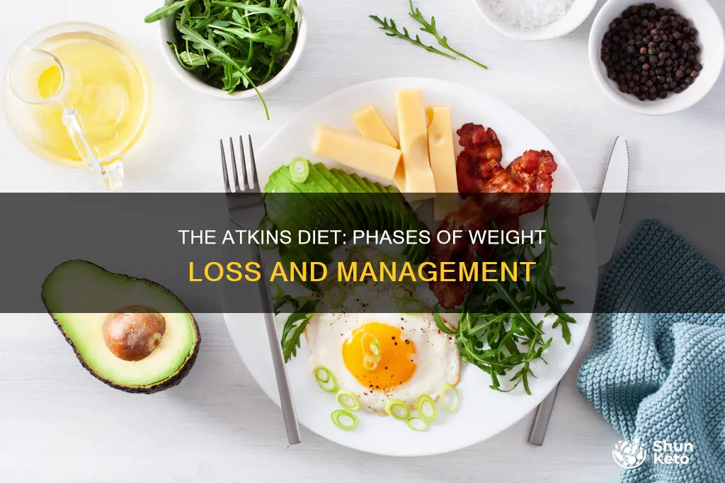 what are the phases of the atkins diet