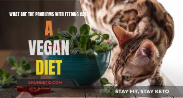 Cats Need Meat: Vegan Diets Are Unhealthy for Felines