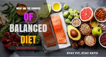 Healthy Eating: Sources of a Balanced Diet