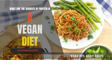 Vegan Protein Sources: A Comprehensive Guide