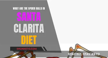 Unraveling the Mystery: What Are Spider Balls in The Santa Clarita Diet?