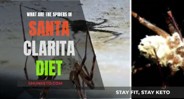 Santa Clarita Diet: Spiders, a Gory Delight