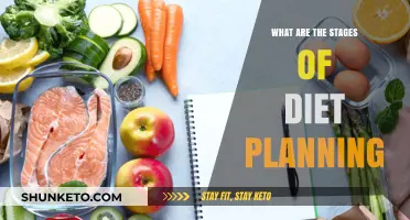 Diet Planning: Stages to Success