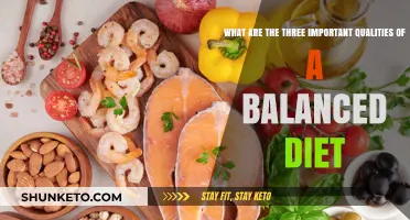 A Balanced Diet: Key Qualities for Healthy Eating