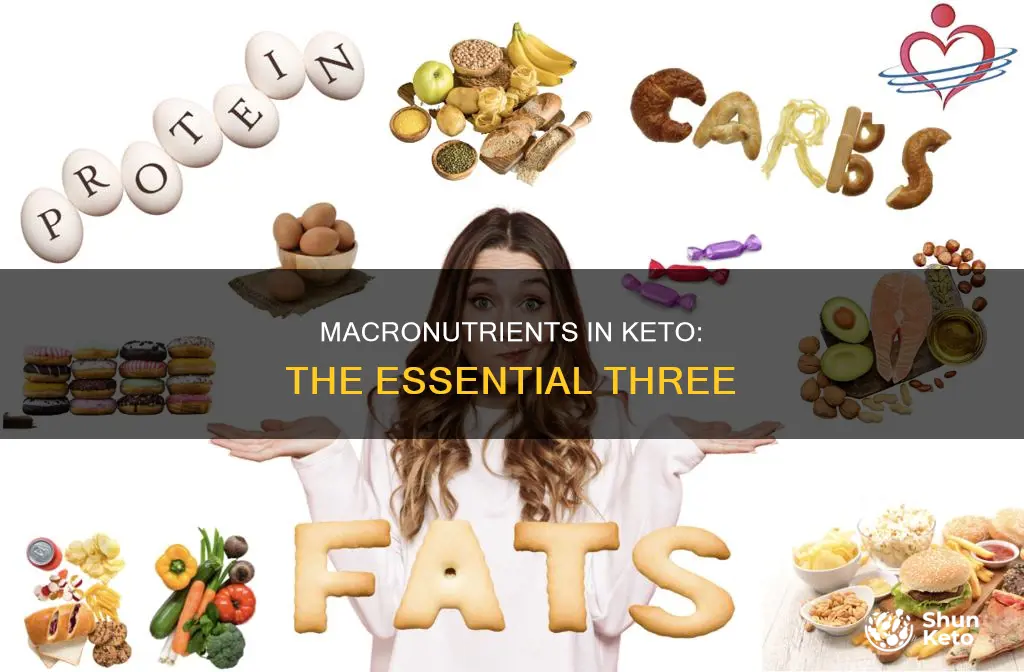 what are the three macronutrients found in food keto