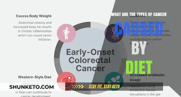Diet-Related Cancers: Types and Causes