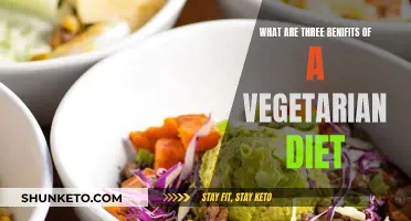 Vegetarian Diet: Health, Energy, and Longevity Benefits
