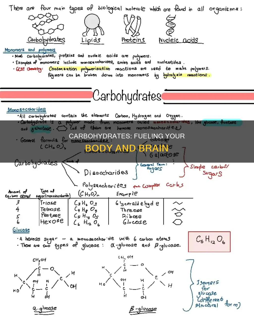 what are total carbohydrates used for in our diets