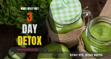 Belly Diet Detox: 3-Day Plan for a Quick Reset