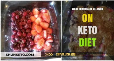 Keto-Friendly Berries: Low-Carb Options for Your Diet Plan
