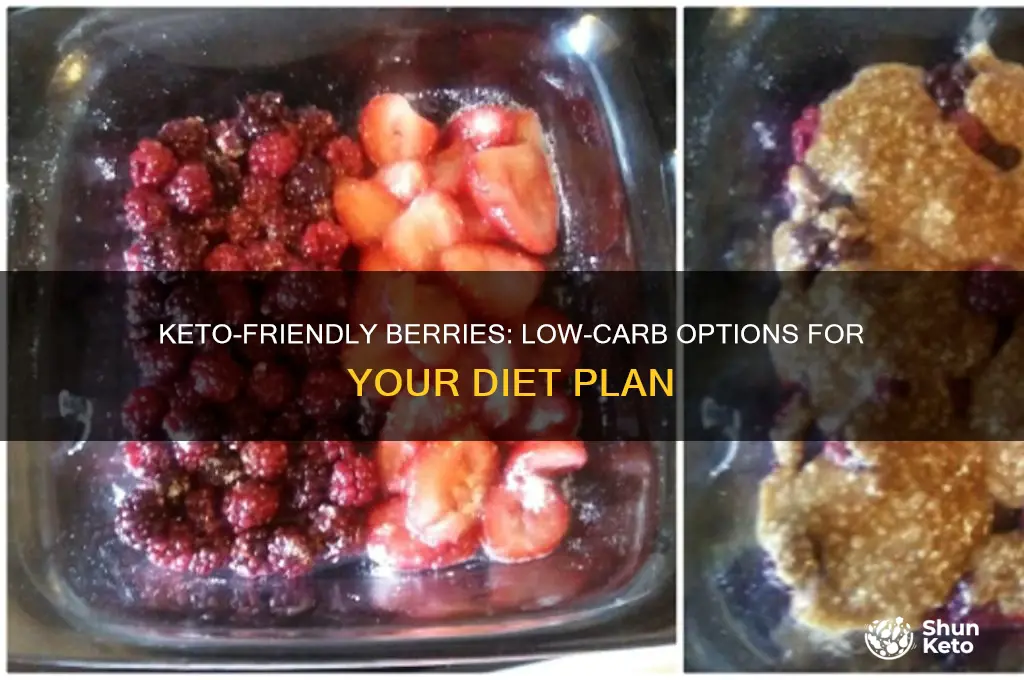 what berries are allowed on keto diet