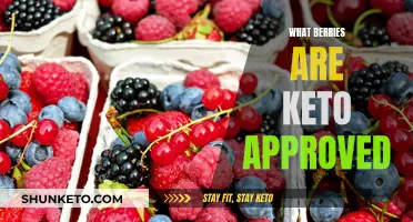 Keto-Friendly Berries: What to Eat on a Ketogenic Diet