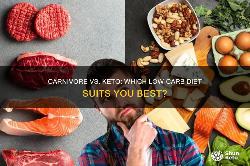 what better carnivore diet or keto