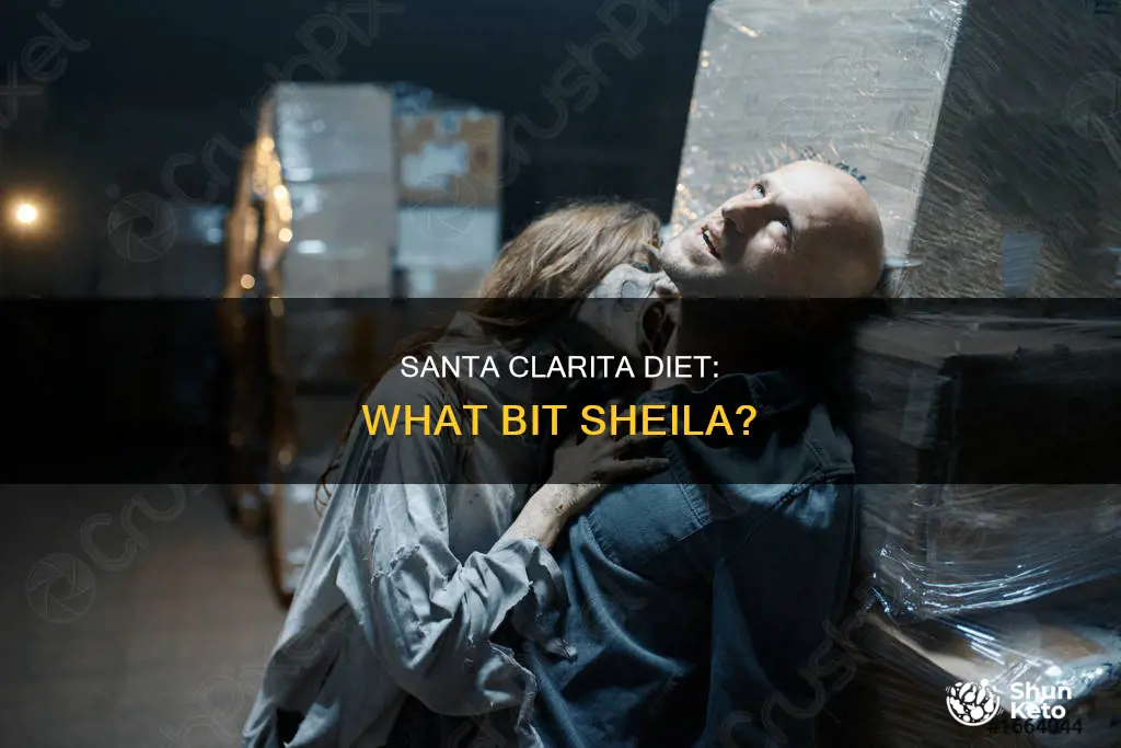 what bit sheila in santa clararita diet