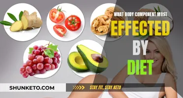 Diet's Impact: The Body's Most Affected Component