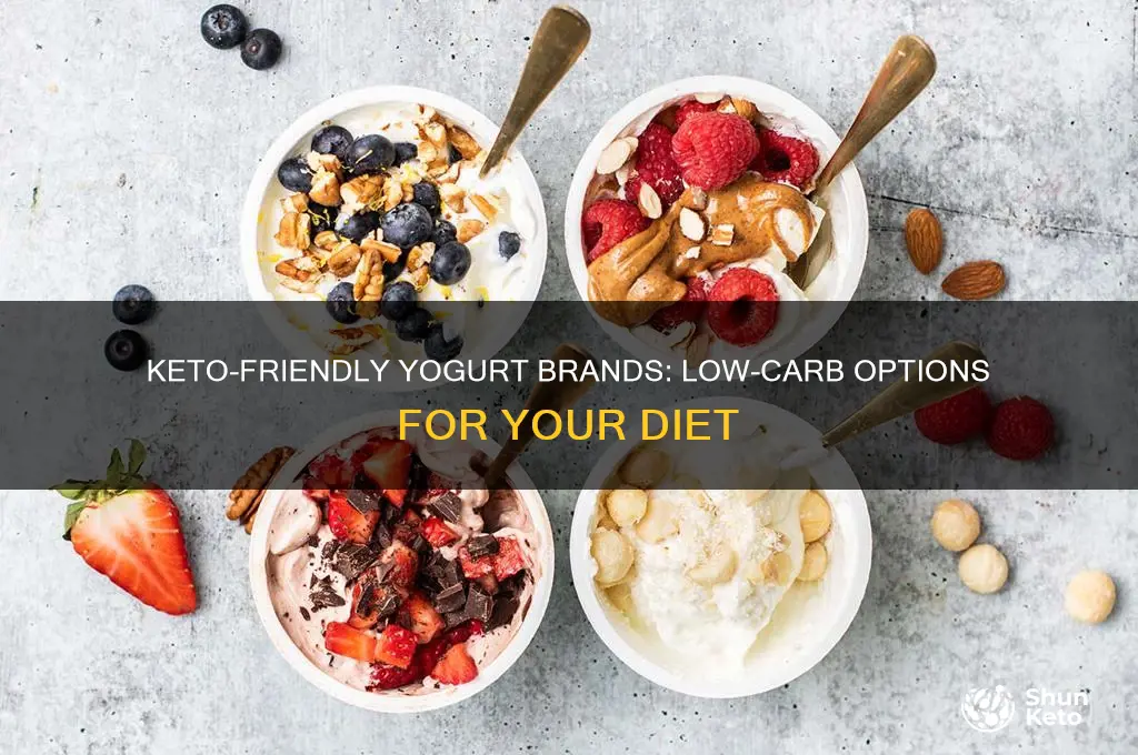 what brand of yogurt can i eat on keto