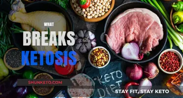 What Breaks Ketosis: Common Foods and Habits to Avoid