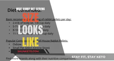 Bunny Diet: Visual Guide to Healthy Serving Sizes