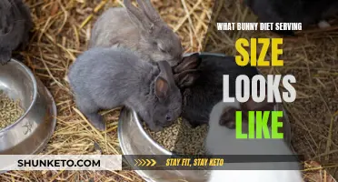 Bunny Diet: Understanding Portion Sizes for Your Pet