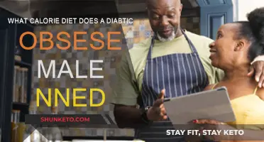 Customizing a Calorie Diet for Diabetic and Obese Men