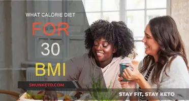 Calorie Counting for a Healthy BMI
