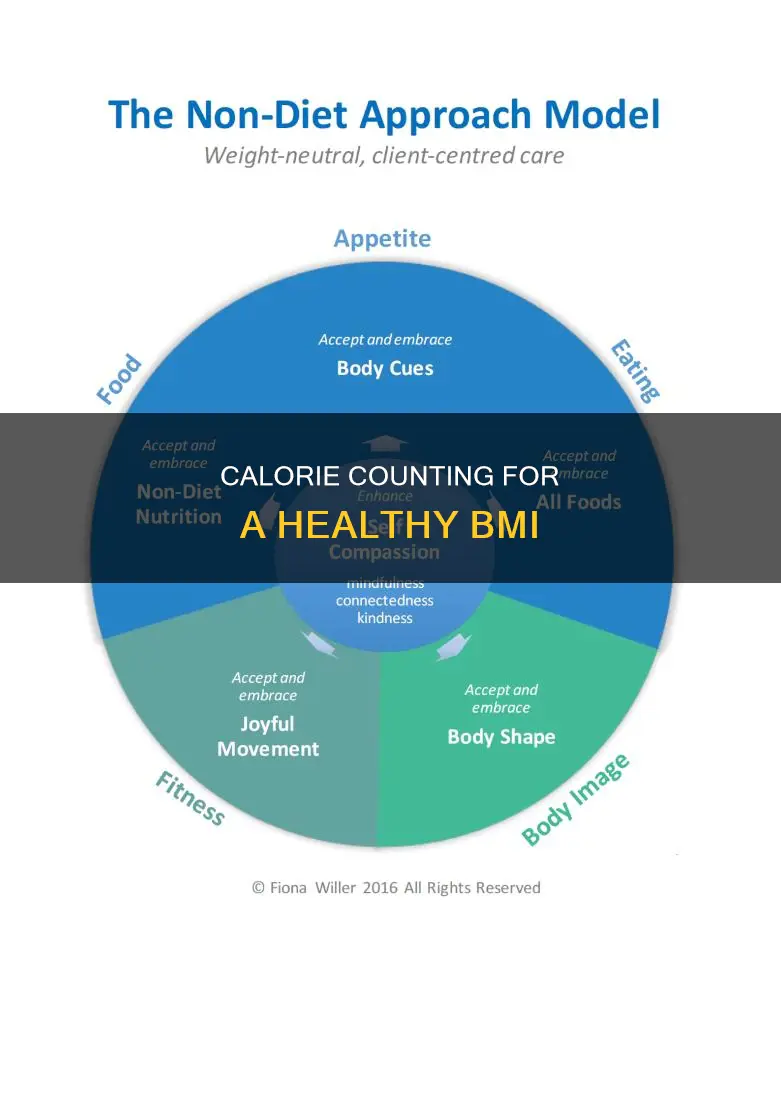 what calorie diet for 30 bmi