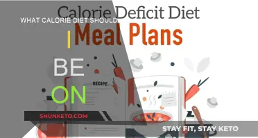 Calorie Counting: Your Personalized Diet Plan