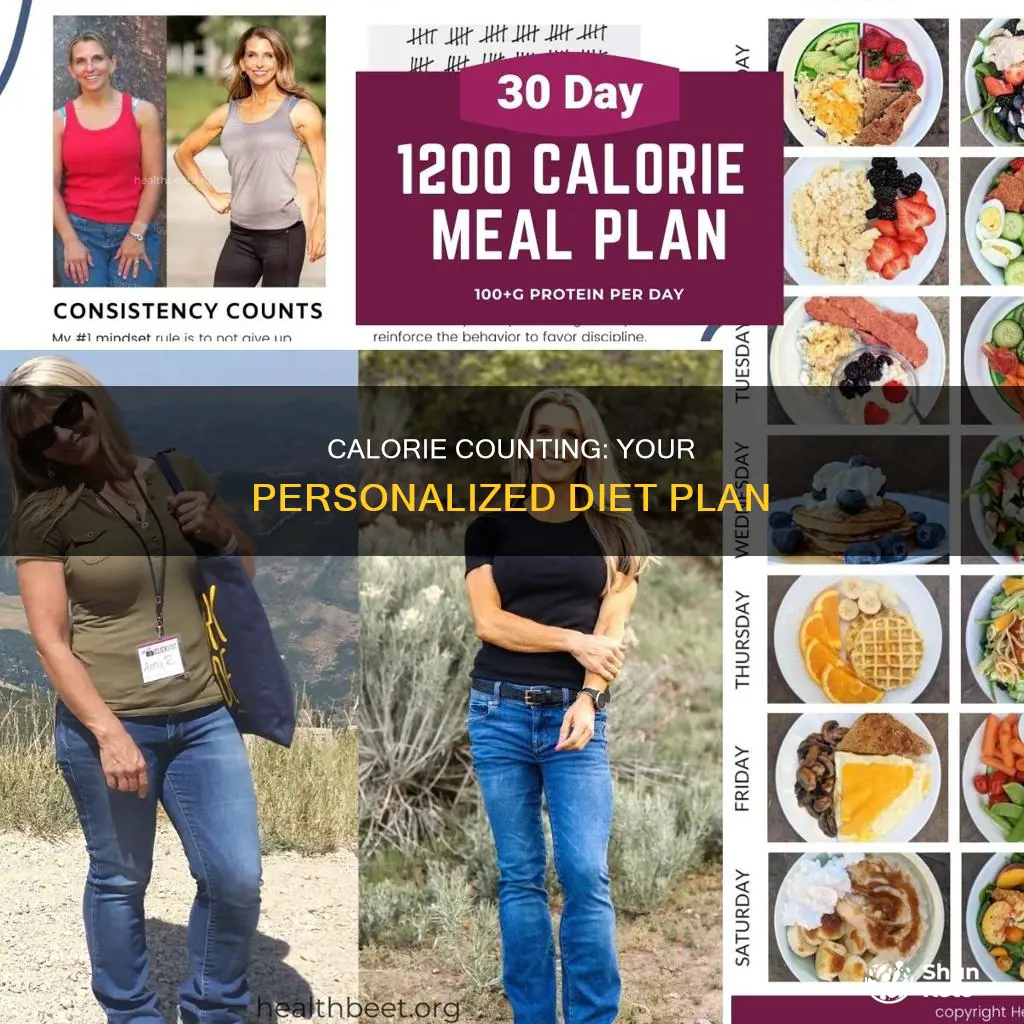 what calorie diet should i be on