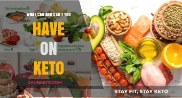 Keto Diet Essentials: Foods to Enjoy and Avoid for Success