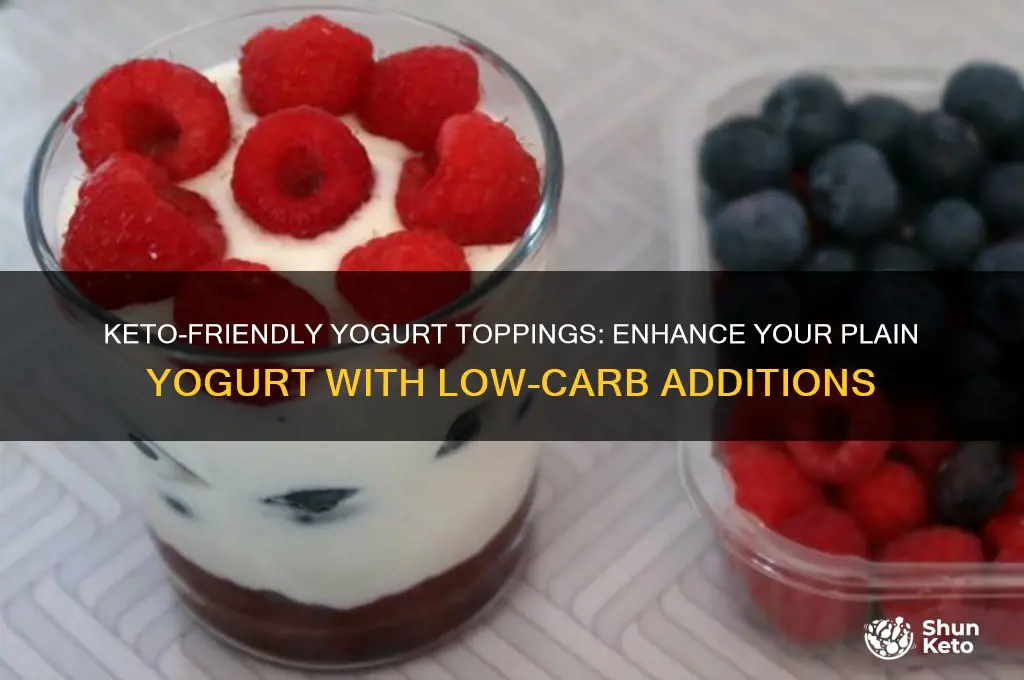 what can i add to plain yogurt on keto