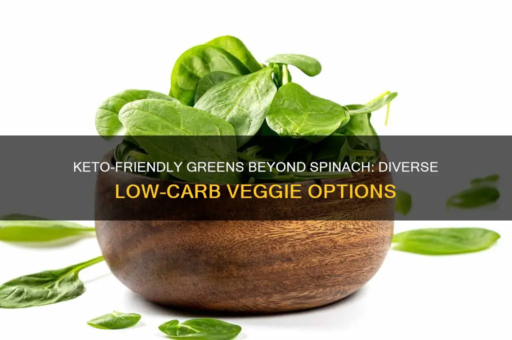what can i eat besides spinish on keto diet
