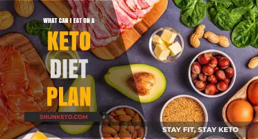 Keto Diet Essentials: Delicious Low-Carb Foods to Enjoy Daily