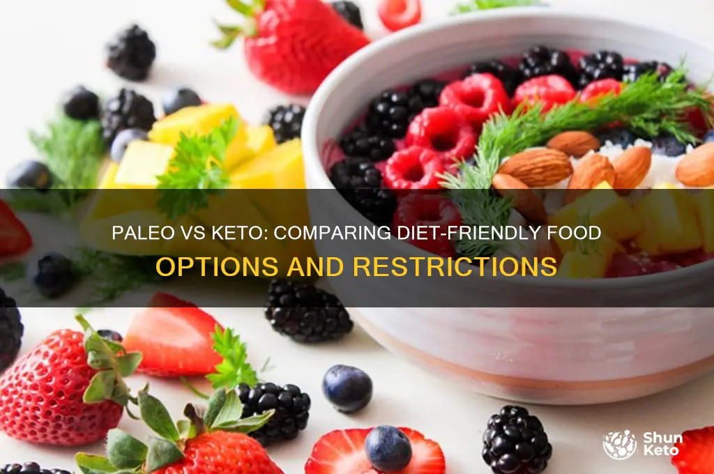 what can i have with paleo vs keto