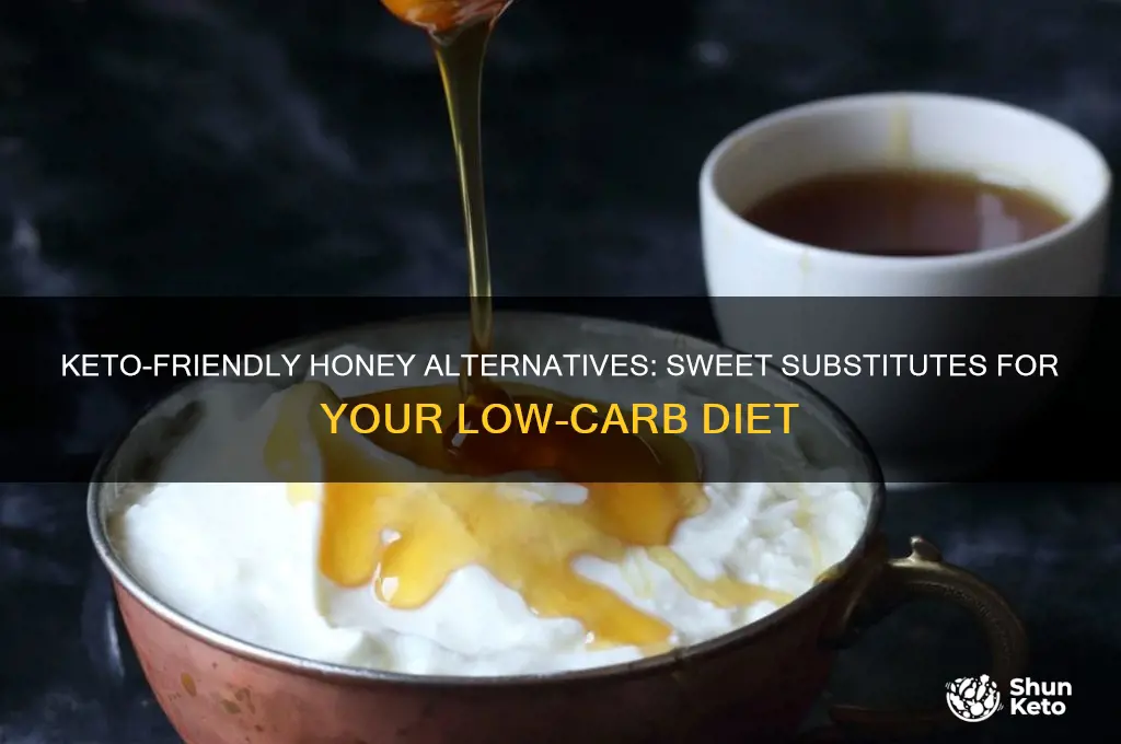 what can i substitute for honey on keto diet