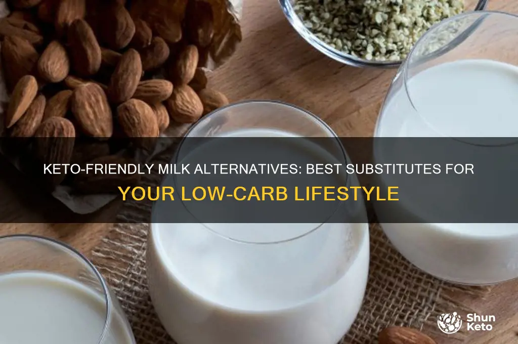 what can i substitute for milk on keto diet