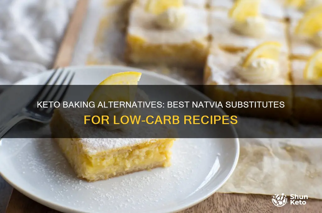 what can i substitute natvia with in my keto baking