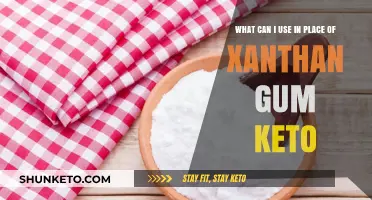 Keto-Friendly Xanthan Gum Substitutes: Top Alternatives for Low-Carb Recipes