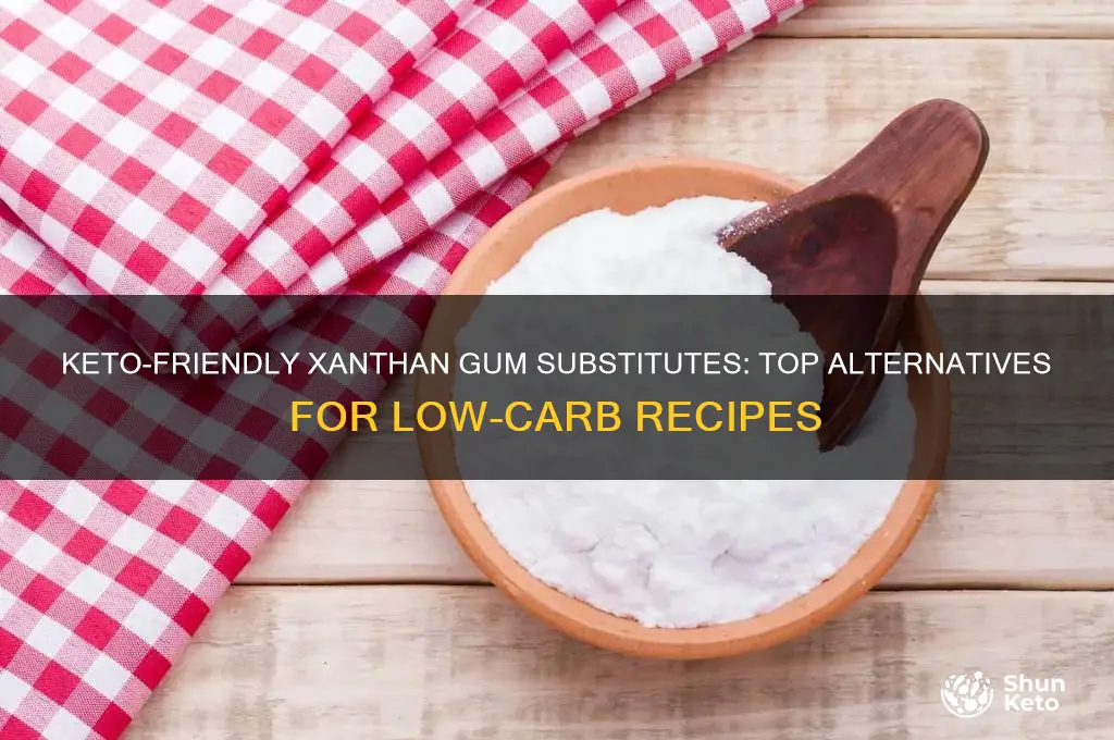 what can i use in place of xanthan gum keto