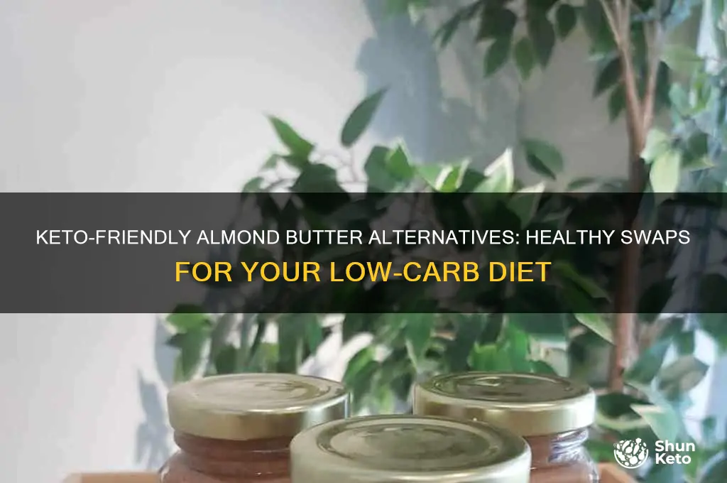 what can i usw in place of almond butter keto